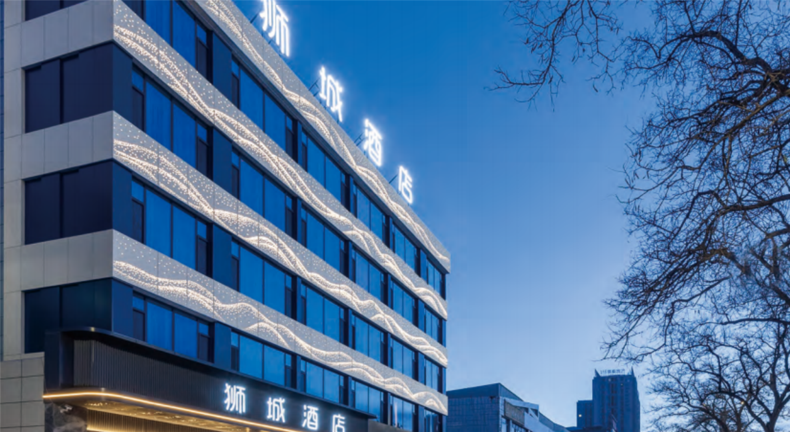 狮城酒店 - 1