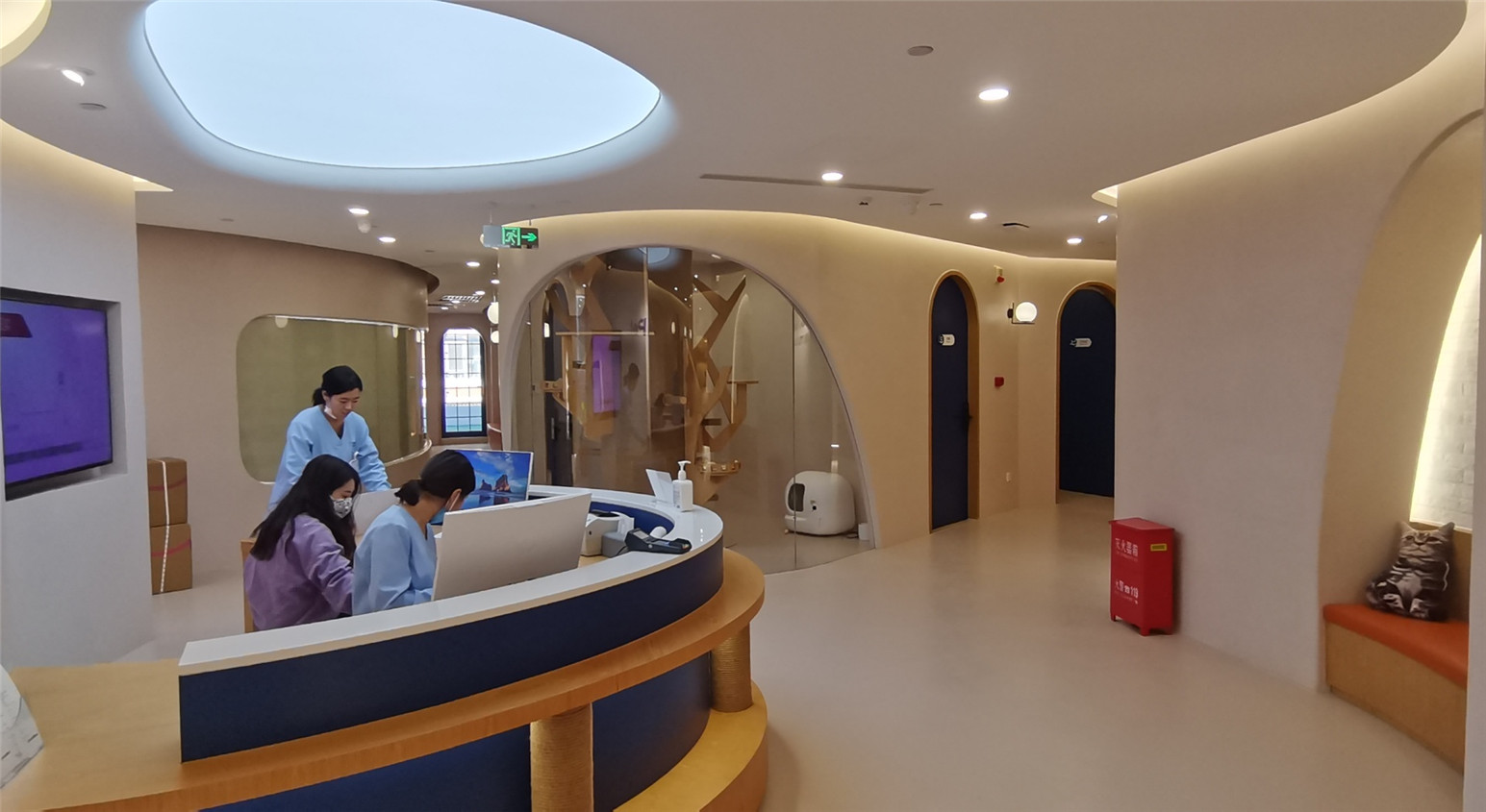 宜萌宠物医院 - 3
